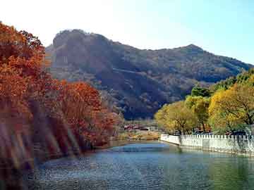 管家婆黑白马报图库，都市电子书排行榜